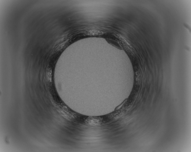 X0000096490368200802211243