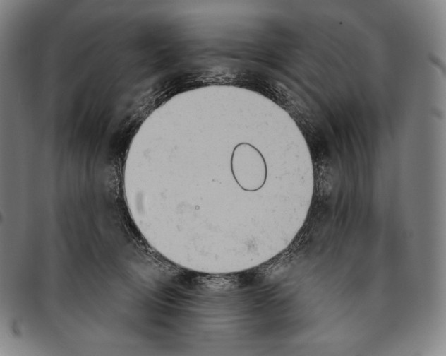 X0000096490370200802211243