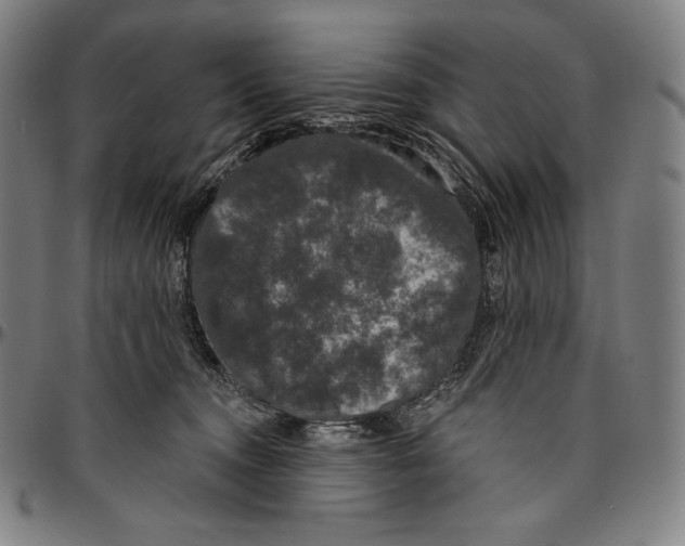 X0000096490372200802211243