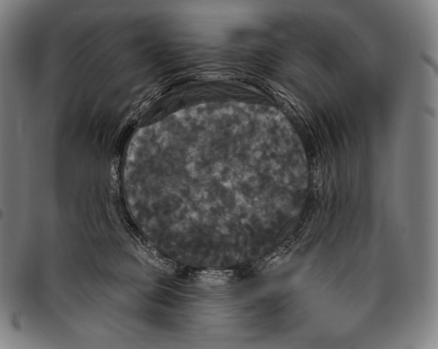 X0000096490373200802211243