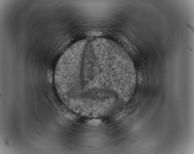 X0000096490374200802211243