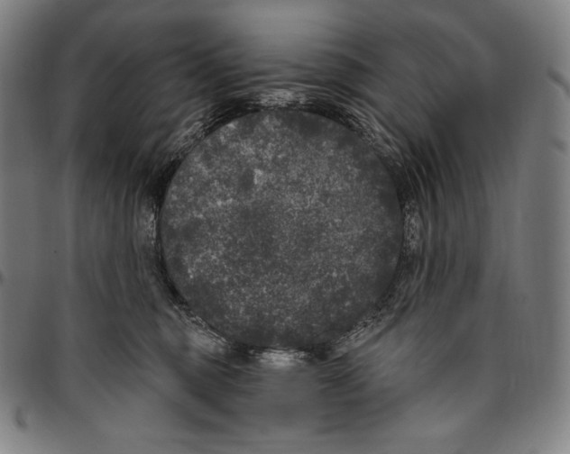 X0000096490375200802211243