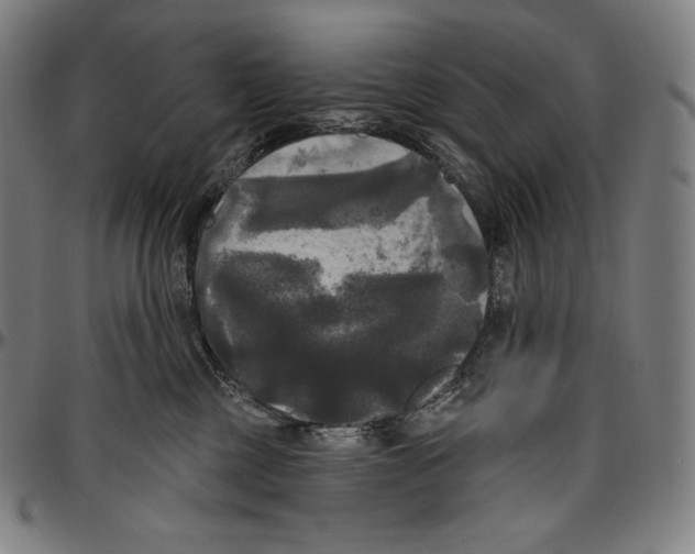 X0000096490377200802211243