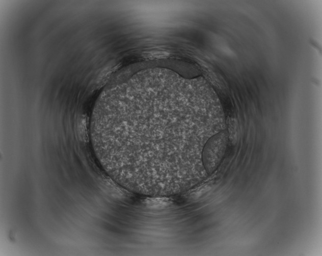 X0000096490378200802211243