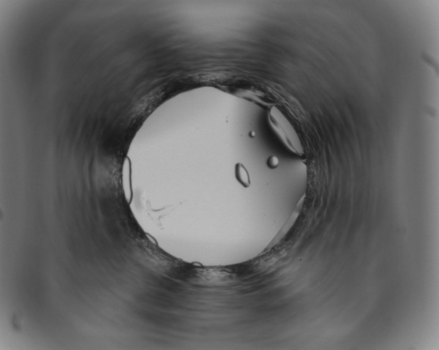 X0000096490380200802211243