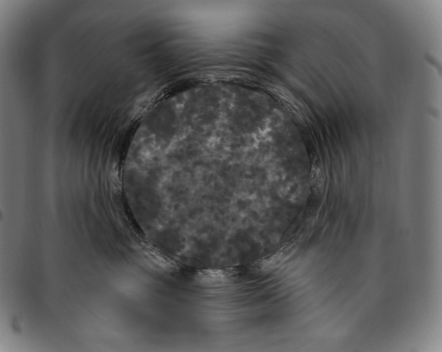 X0000096490381200802211243