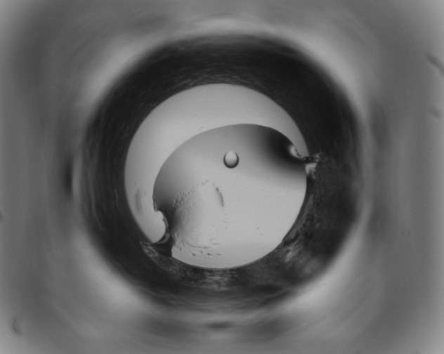 X0000096490382200802211243