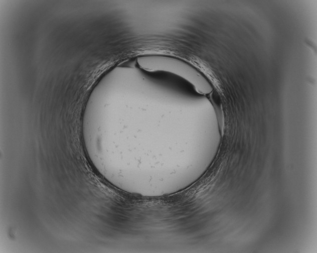 X0000096490385200802211243