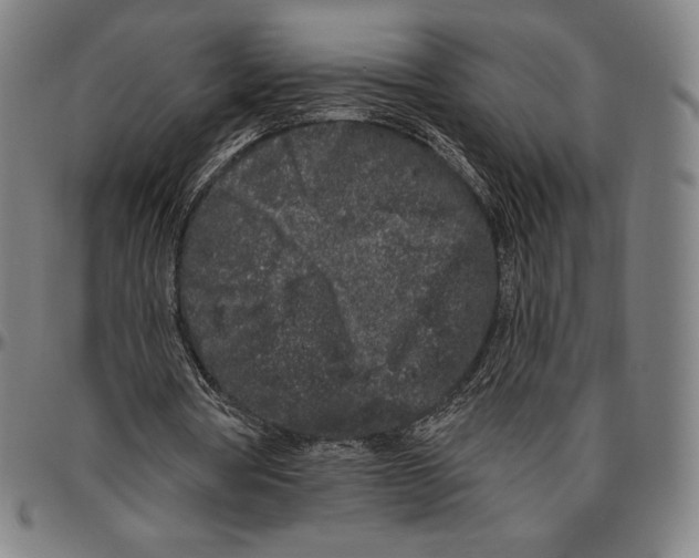 X0000096490386200802211243