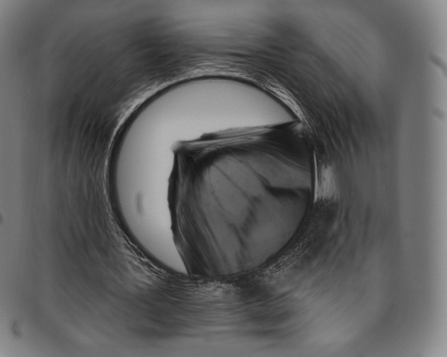 X0000096490387200802211243