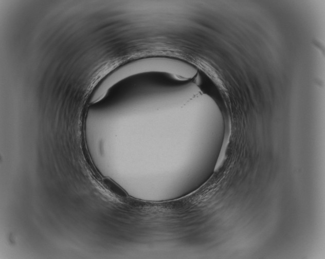 X0000096490389200802211243