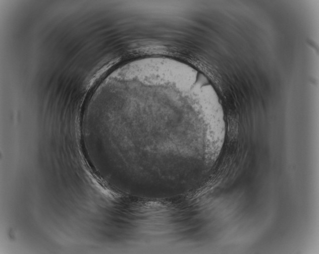 X0000096490390200802211243