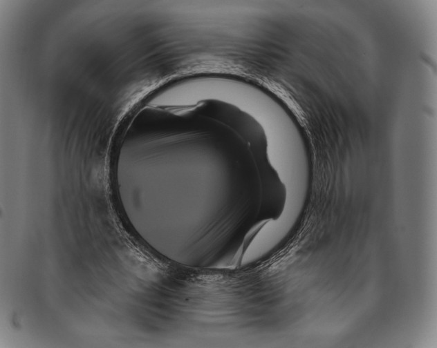 X0000096490391200802211243