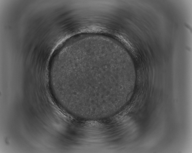 X0000096490392200802211243