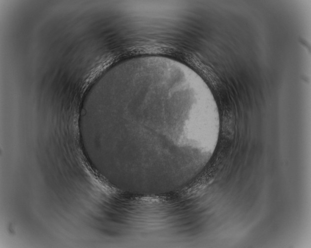 X0000096490394200802211243