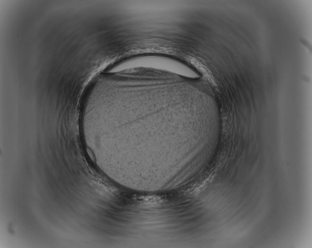 X0000096490395200802211243