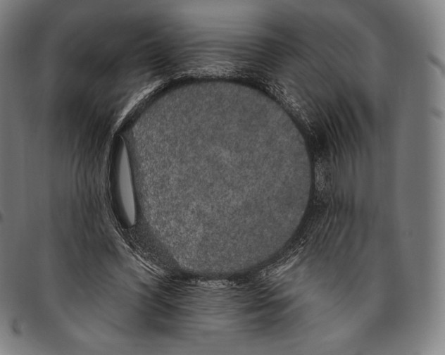 X0000096490396200802211243