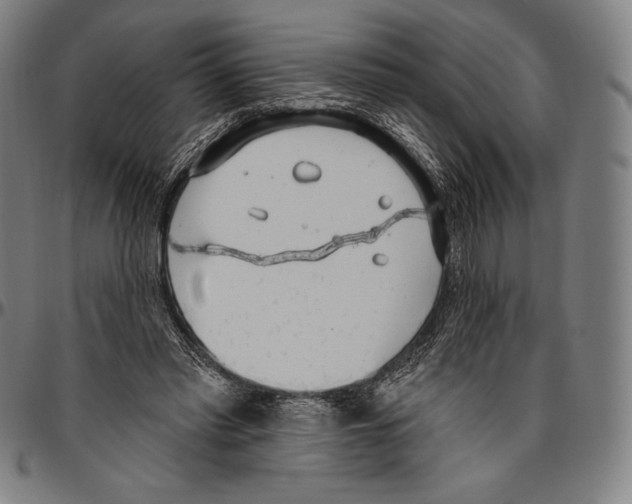 X0000096490397200802211243