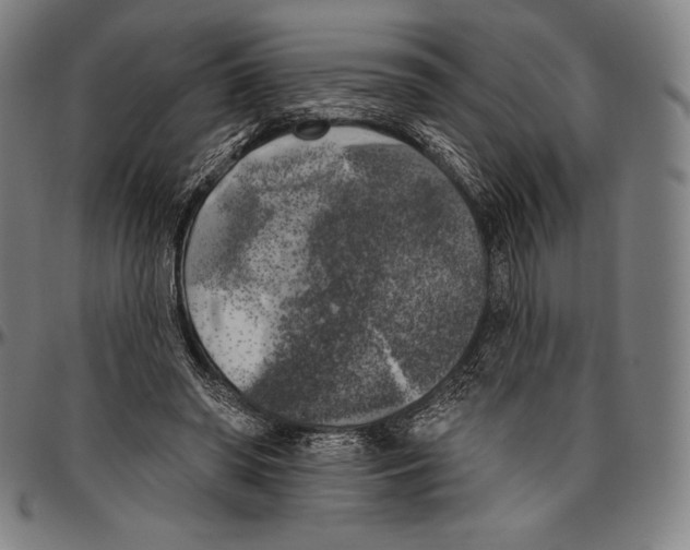 X0000096490398200802211243