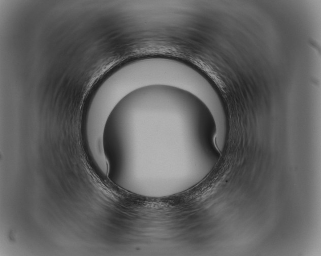 X0000096490399200802211242