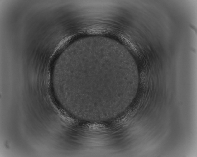 X0000096490400200802211242