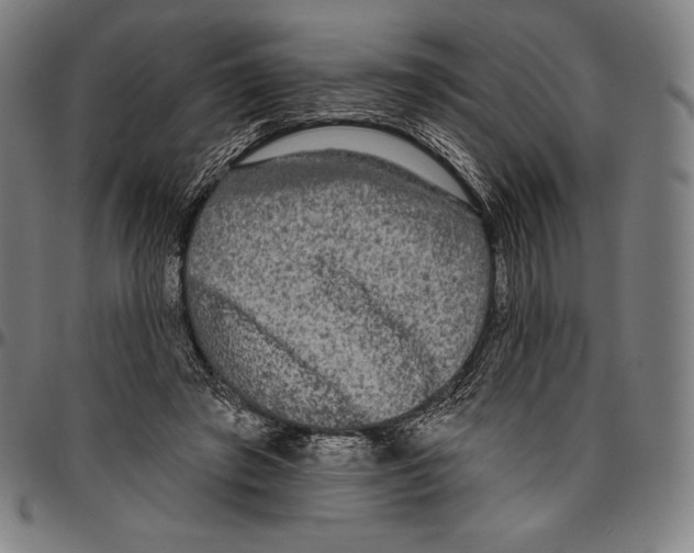 X0000096490401200802211242