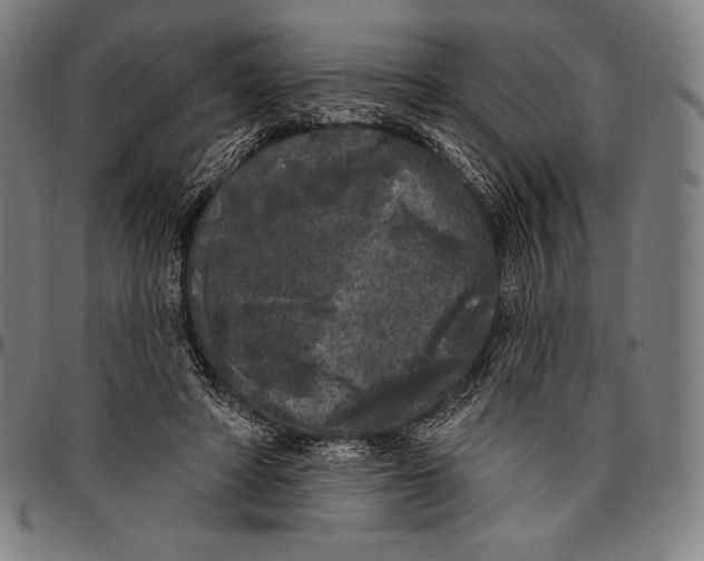 X0000096490402200802211242