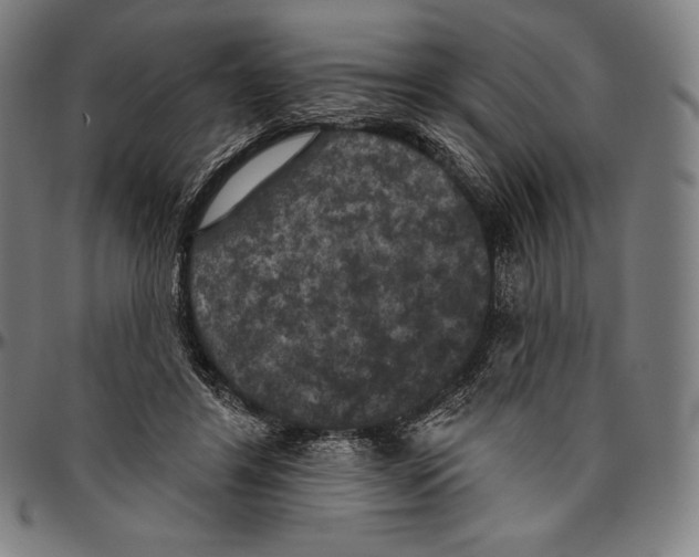 X0000096490404200802211242