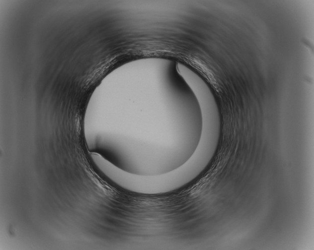 X0000096490405200802211242