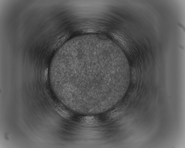 X0000096490406200802211242