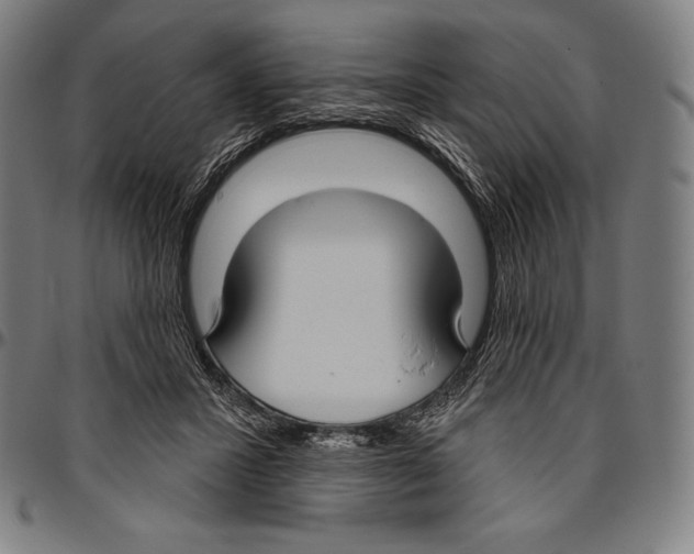 X0000096490407200802211242