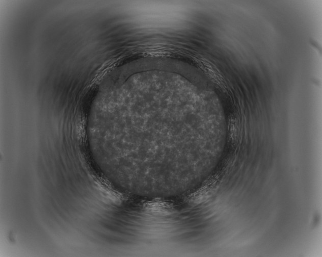 X0000096490408200802211242