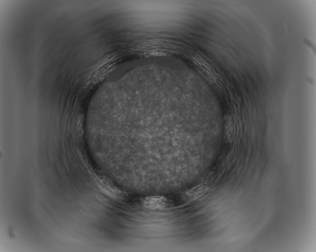 X0000096490410200802211242