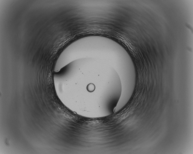 X0000096490411200802211242