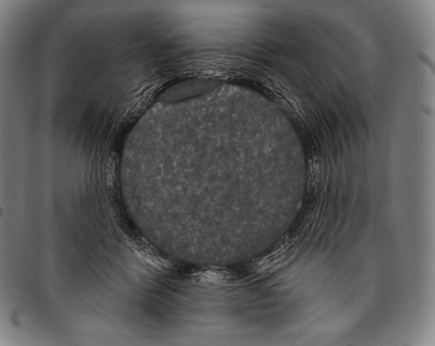 X0000096490412200802211242