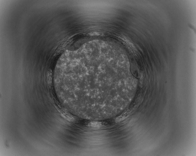 X0000096490413200802211242