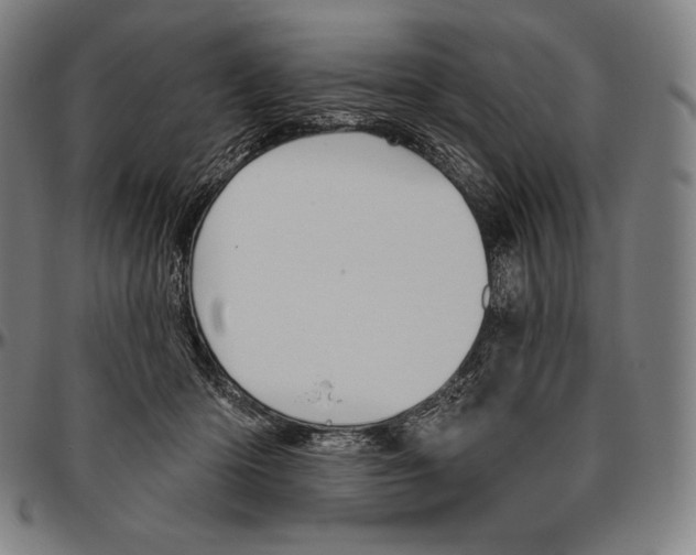 X0000096490414200802211242