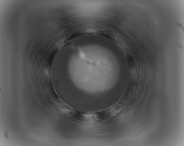 X0000096490415200802211242