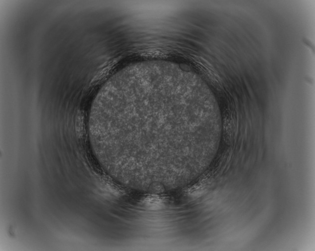 X0000096490416200802211242