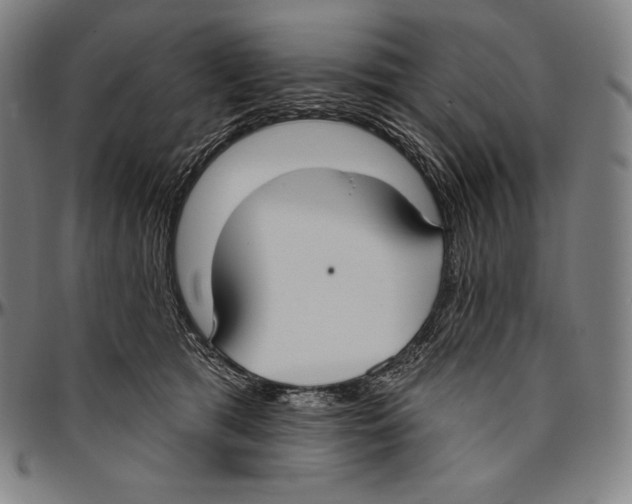 X0000096490417200802211242