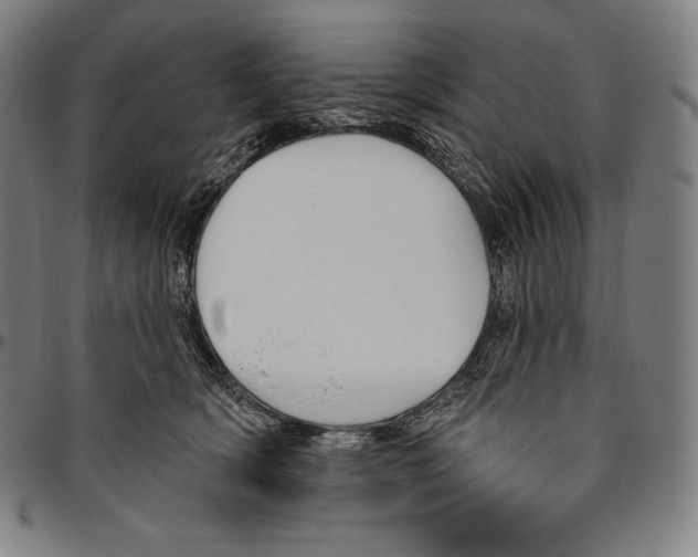 X0000096490418200802211242