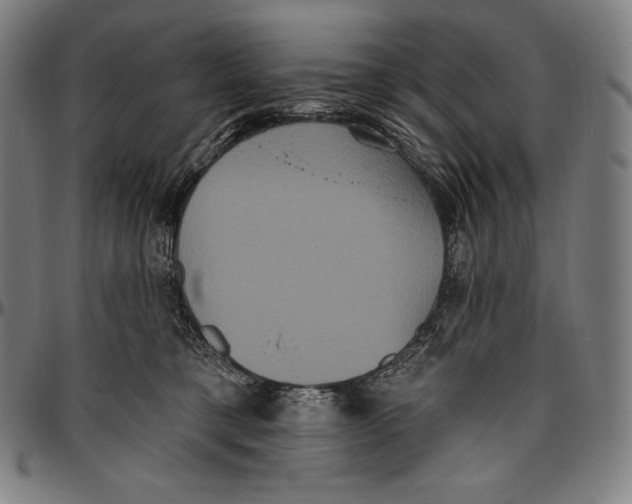 X0000096490421200802211242