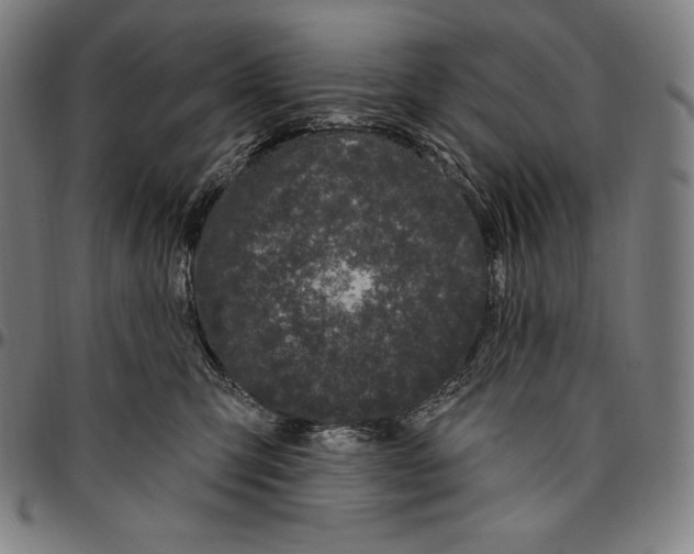 X0000096490423200802211242