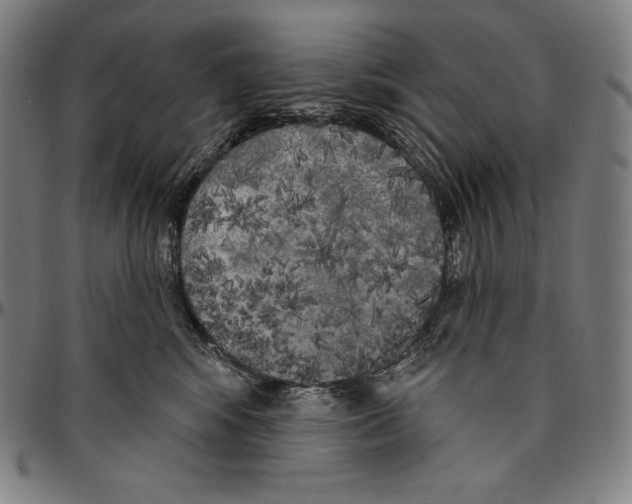 X0000096490424200802211242