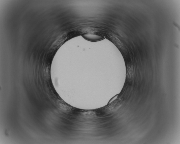 X0000096490426200802211242