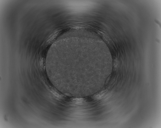 X0000096490428200802211242