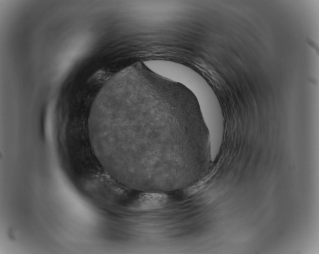 X0000096490429200802211242