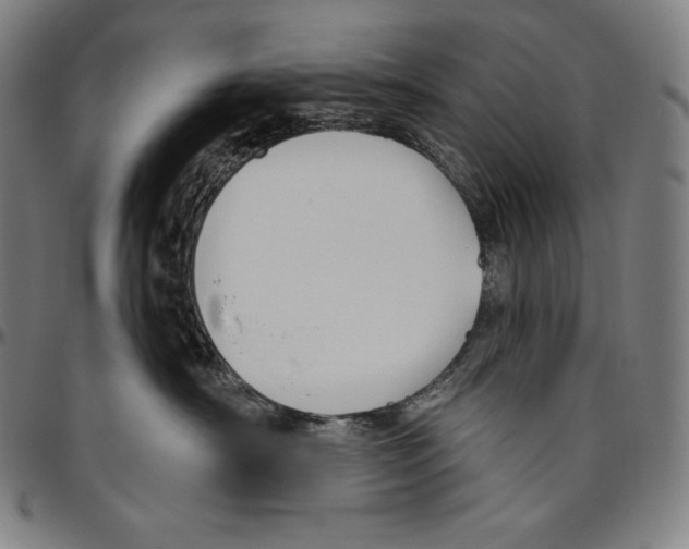 X0000096490430200802211242