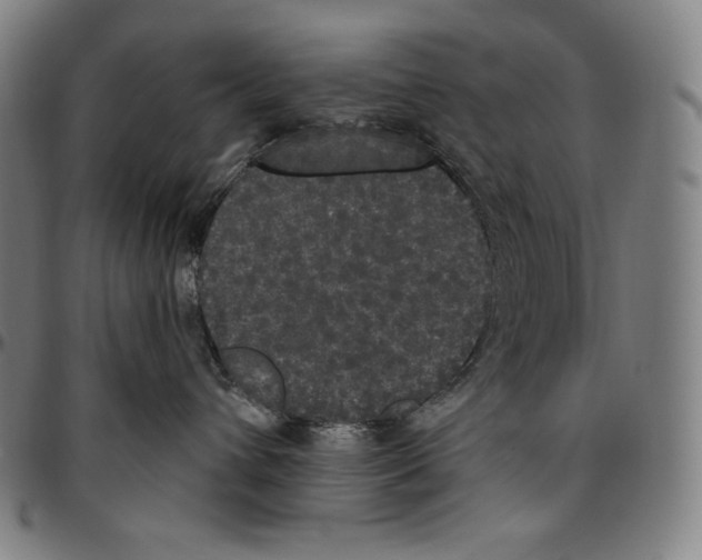 X0000096490432200802211242