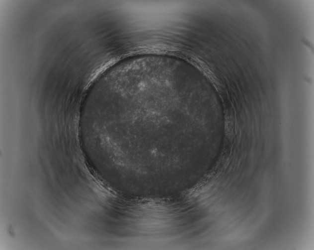 X0000096490434200802211241